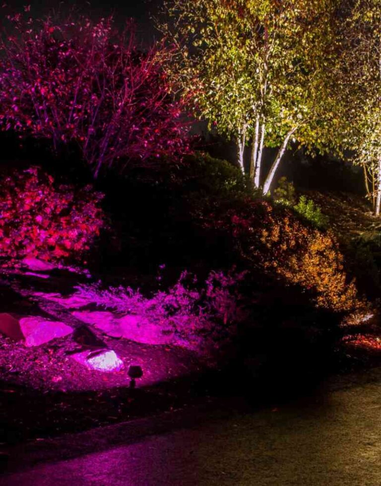 Landscape outdoor lighting Colorscaping Halifax, Nova Scotia
